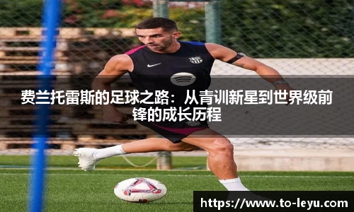 乐鱼体育官网